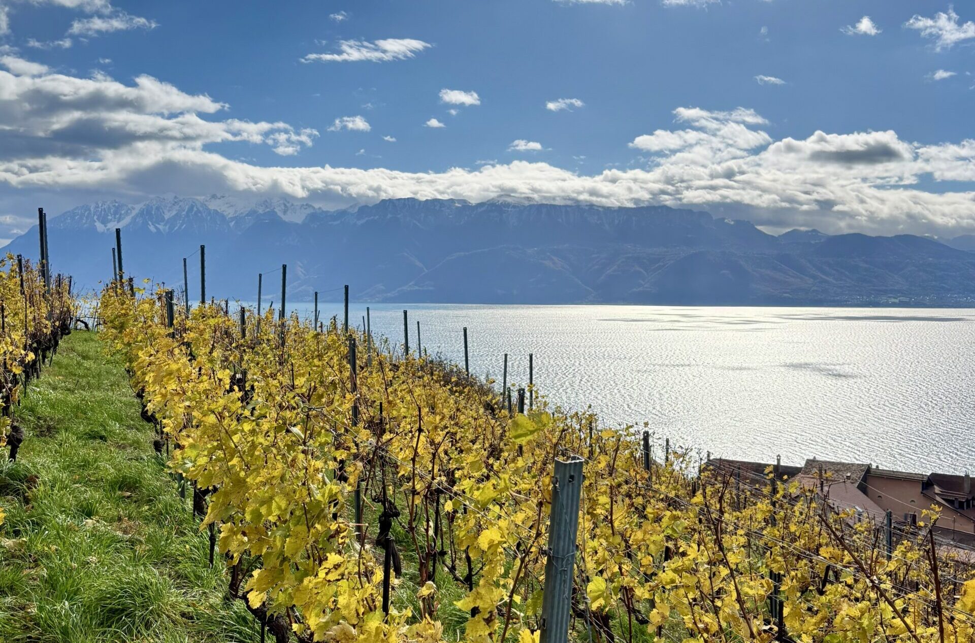 Panorama 360° : November 2025