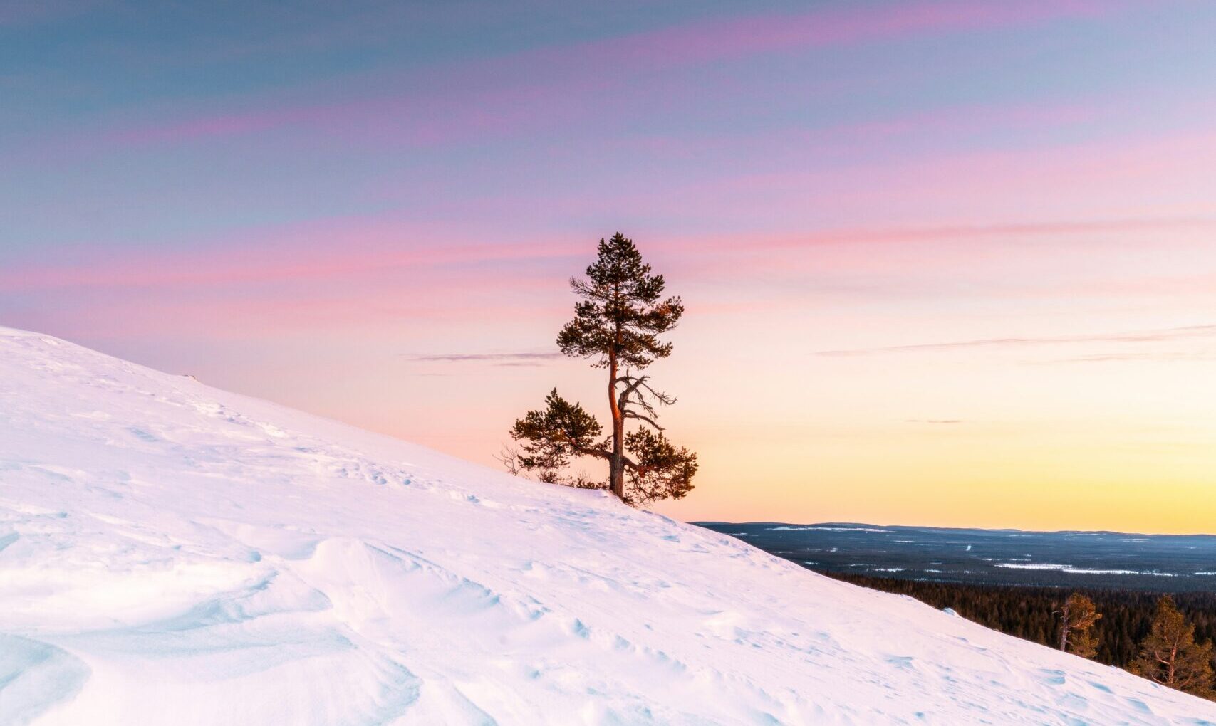 Panorama 360°: December