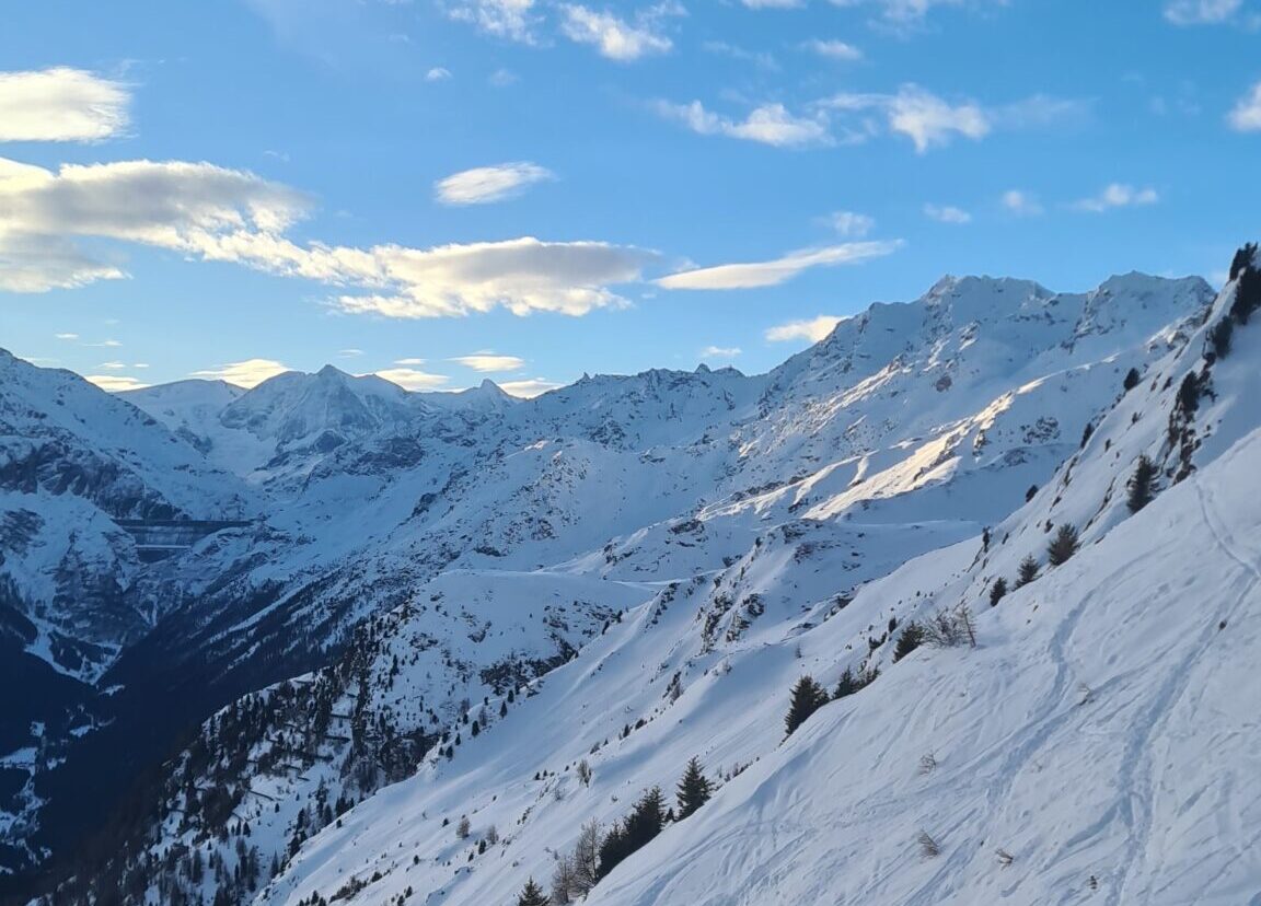 Panorama 360° : January 2026