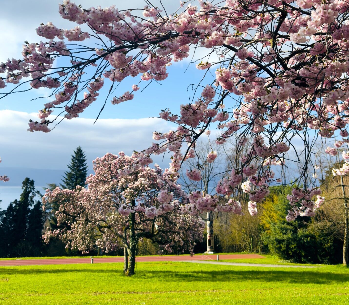 Panorama 360° March